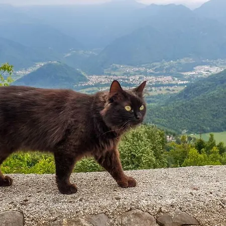Privatunterkunft Sobe Nikrmana Sella di Volzana