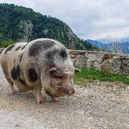 Privatunterkunft Sobe Nikrmana Sella di Volzana
